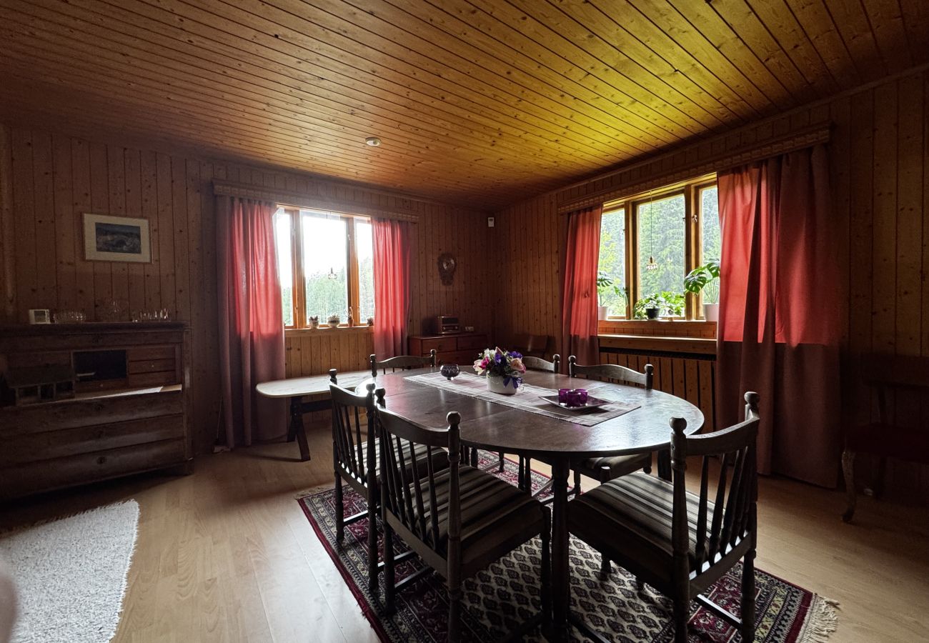 House in Skillingsfors - SE18031