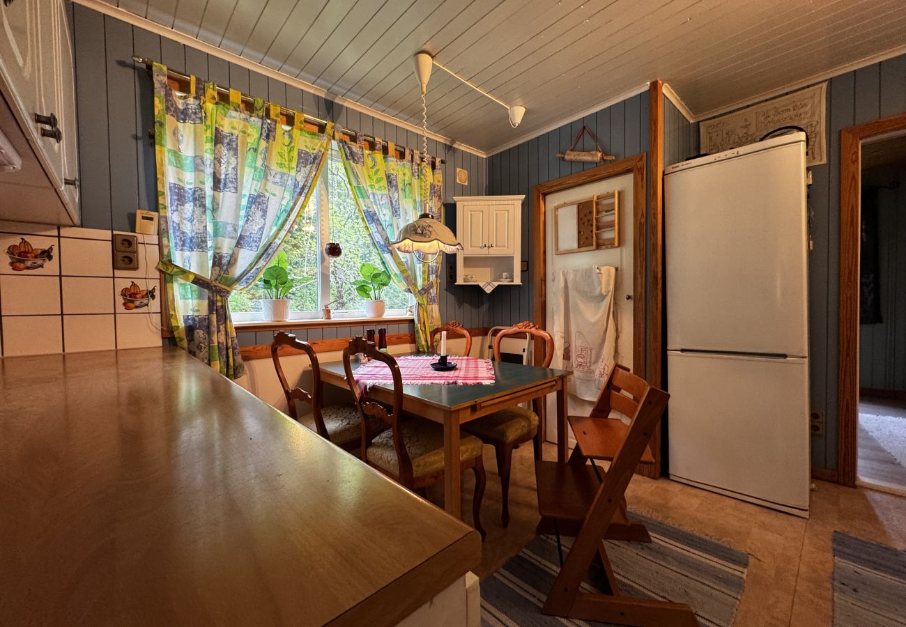 House in Skillingsfors - SE18031