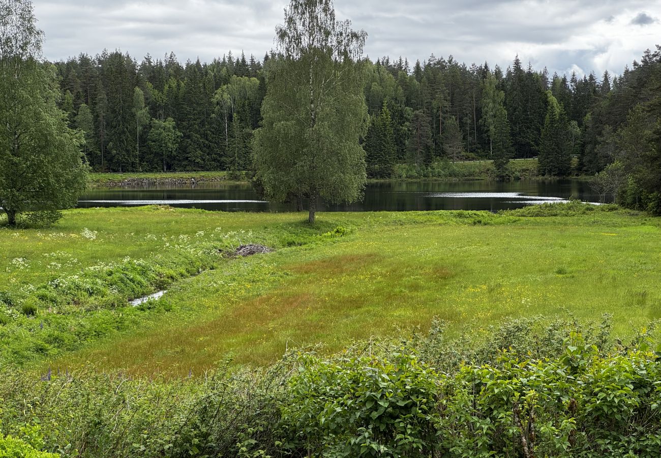 House in Skillingsfors - SE18031