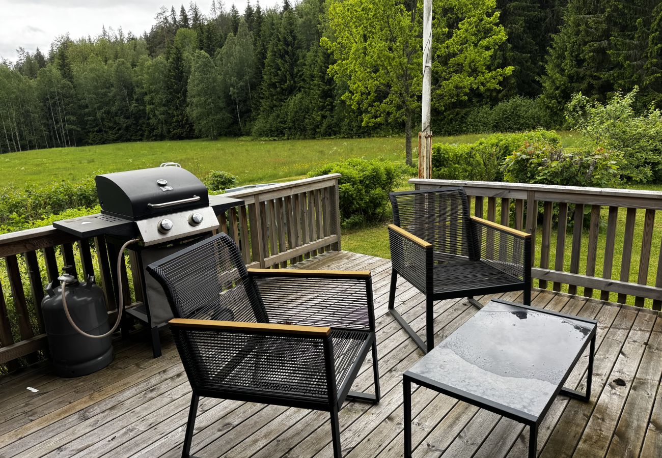 House in Skillingsfors - SE18031