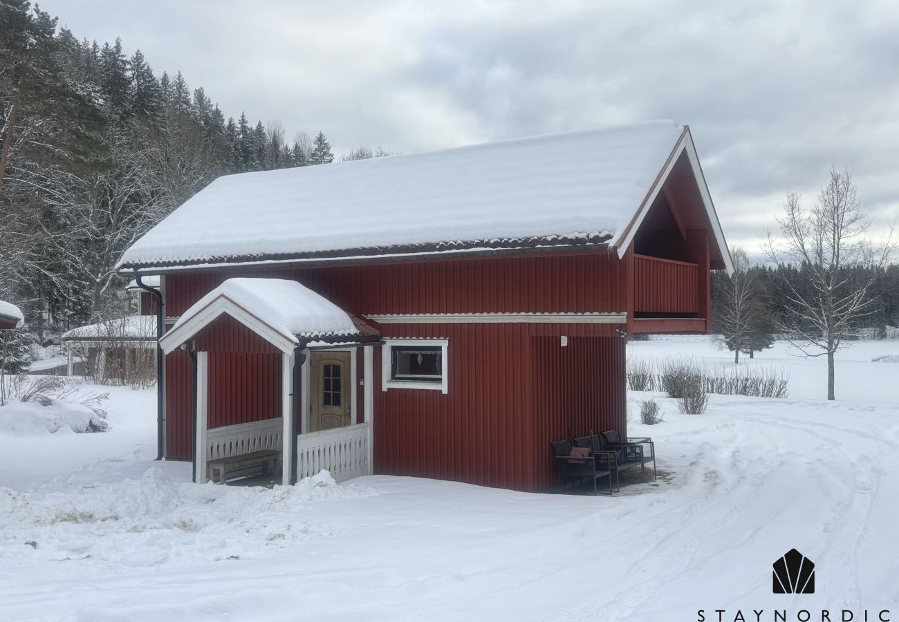 House in Skillingsfors - SE18032