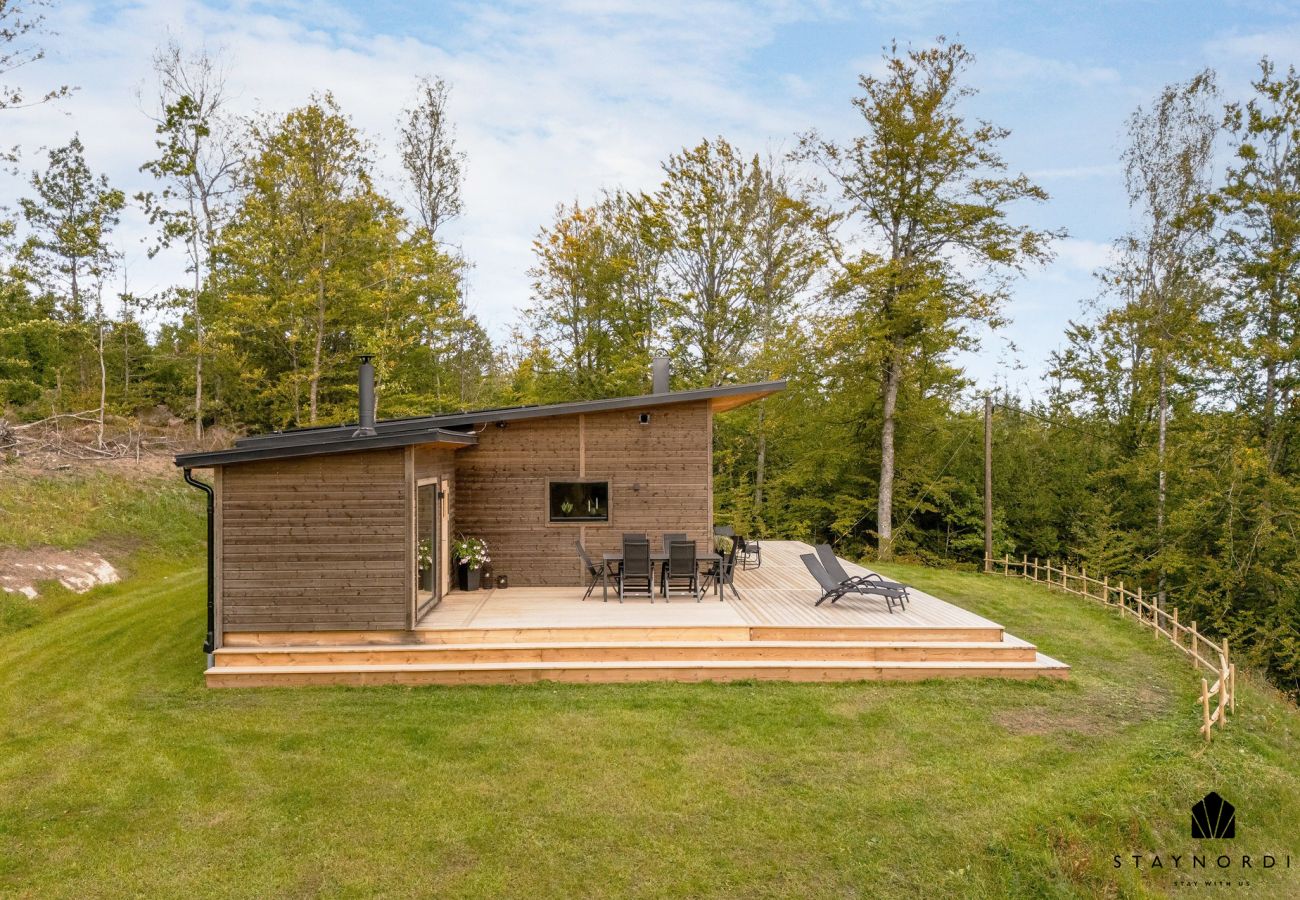 House in Lönashult - SE06090