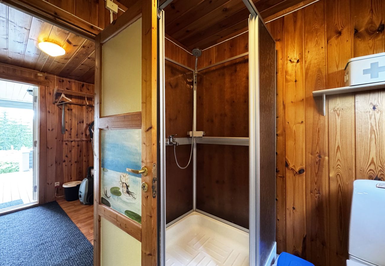 House in Skillingsfors - SE18033