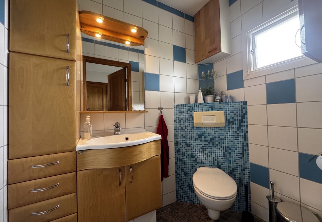 House in Åsa - SE02102