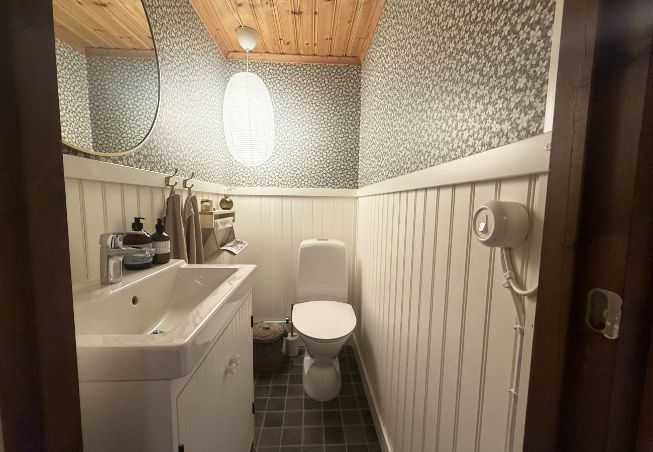 House in Laholm - SE02119