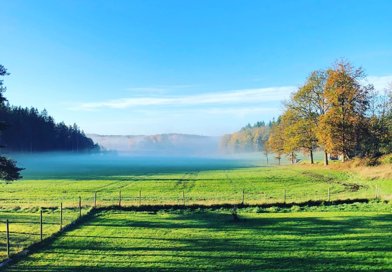 House in Svanesund - SE09167