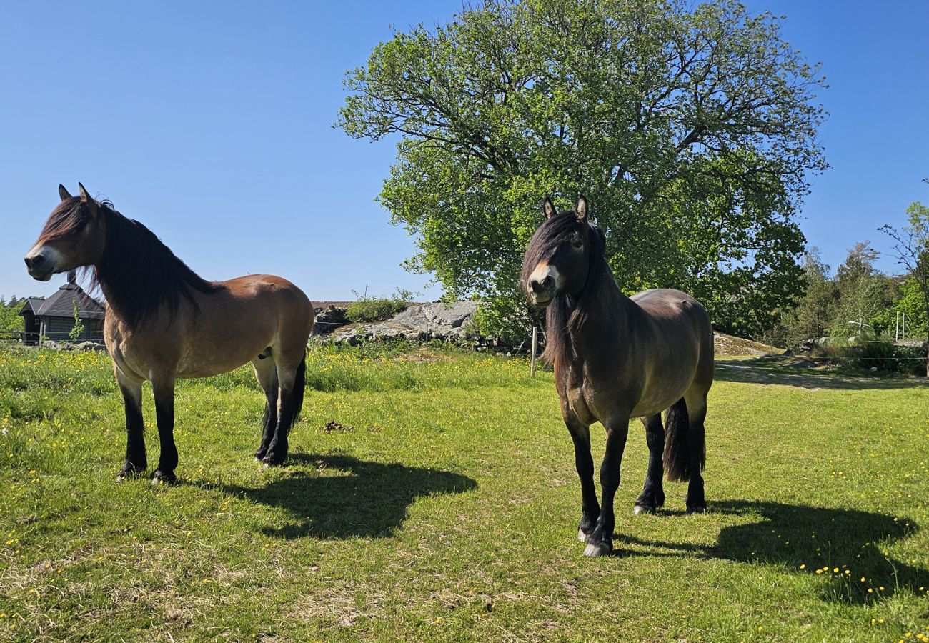 House in Uddevalla - SE09160