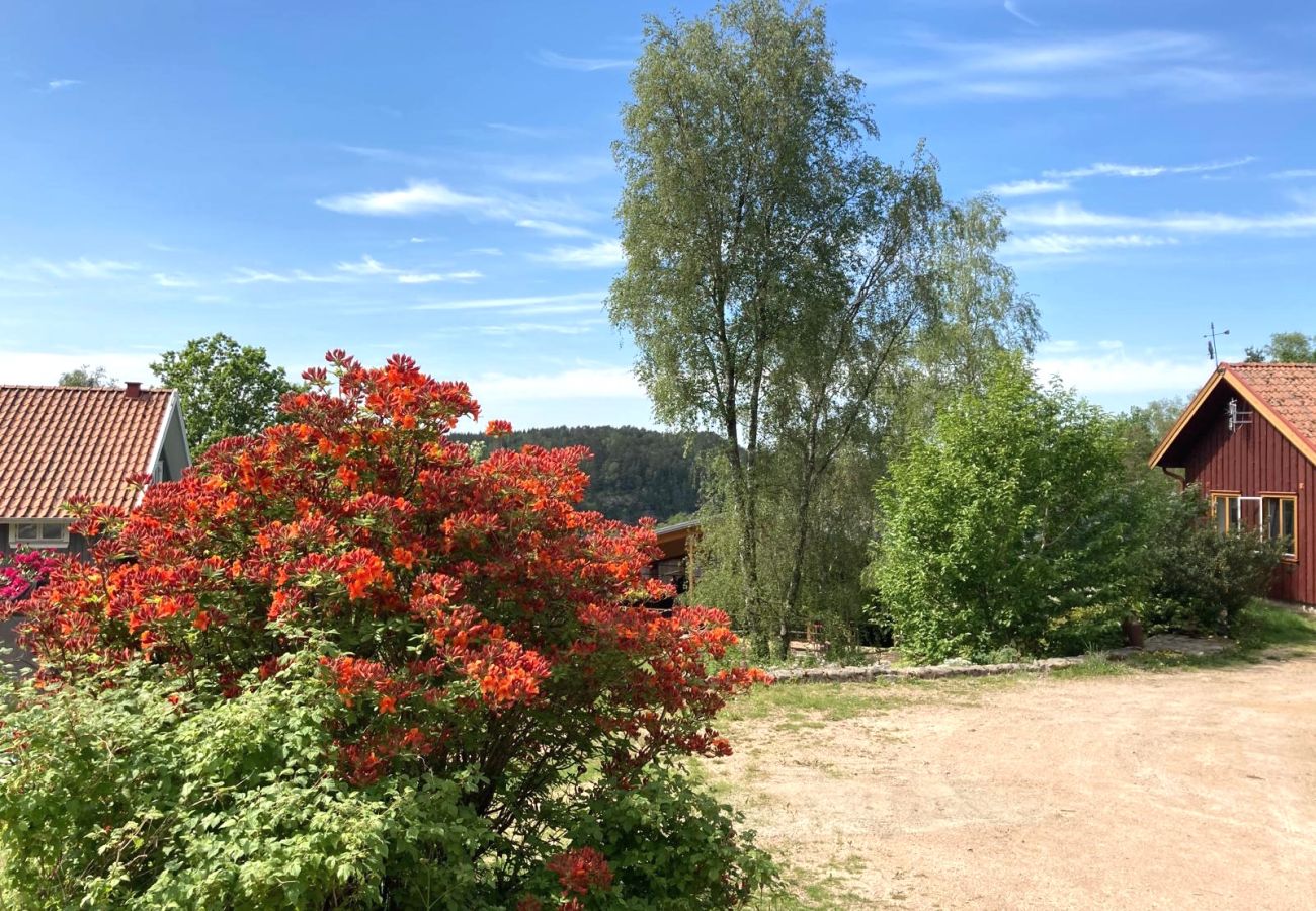 House in Henån - SE09131