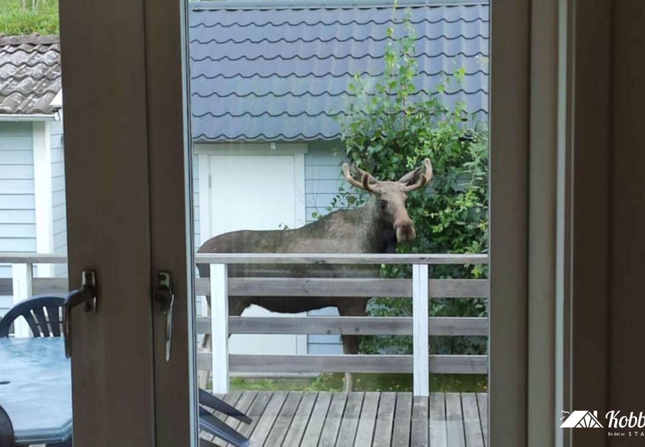 House in Svanesund - SE09163