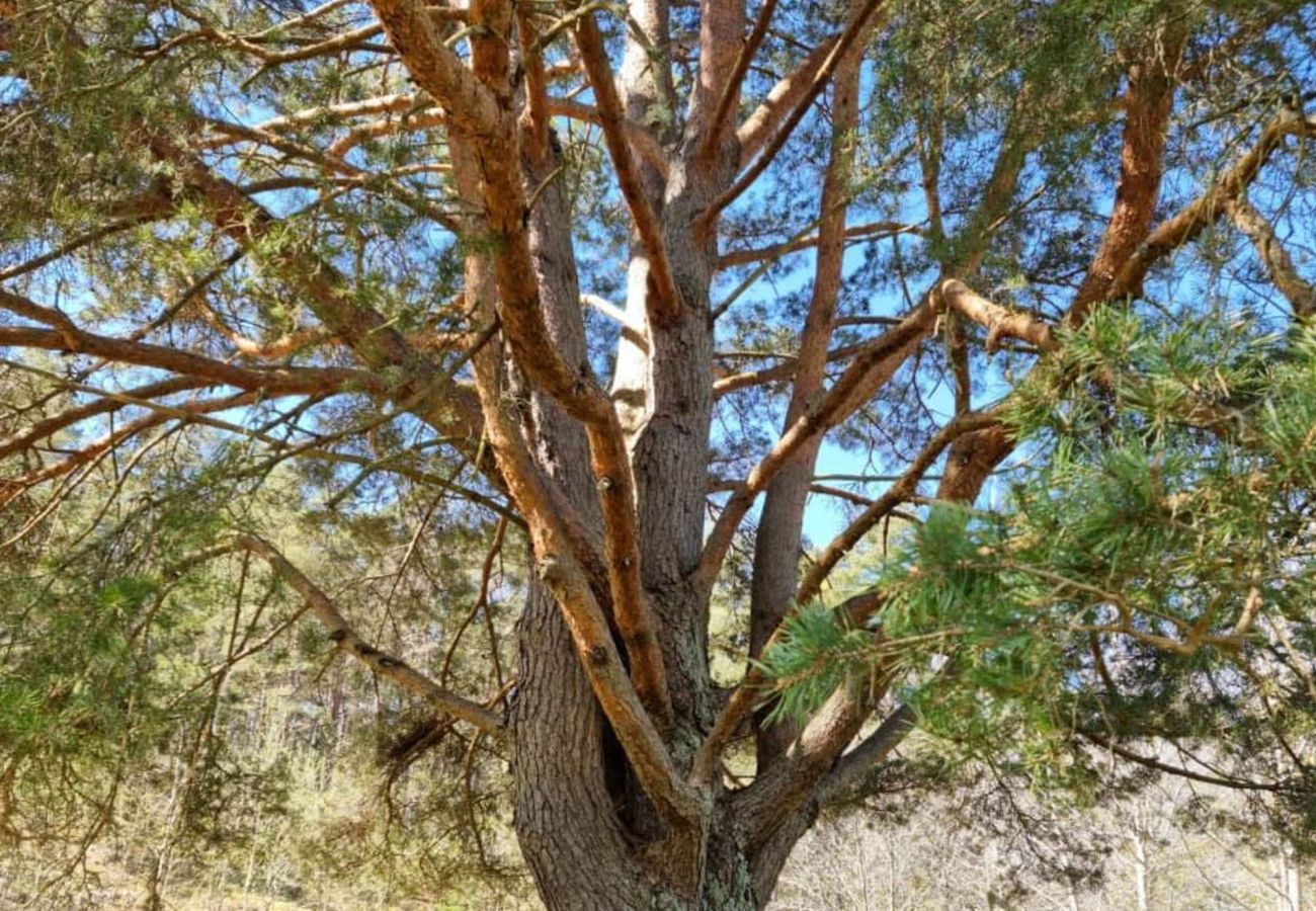 House in Svanesund - SE09163