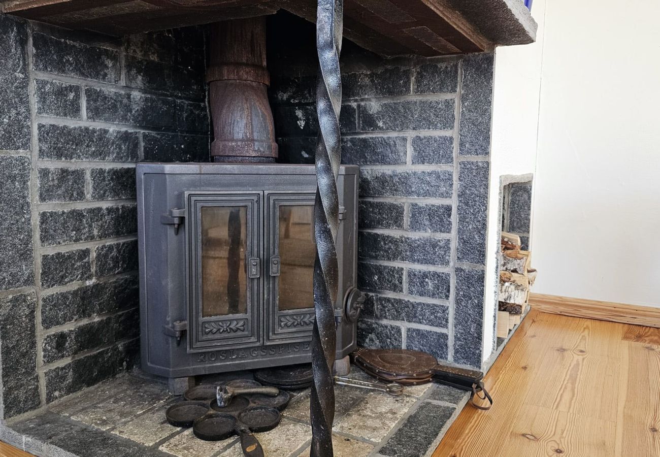 House in Ellös - SE09171