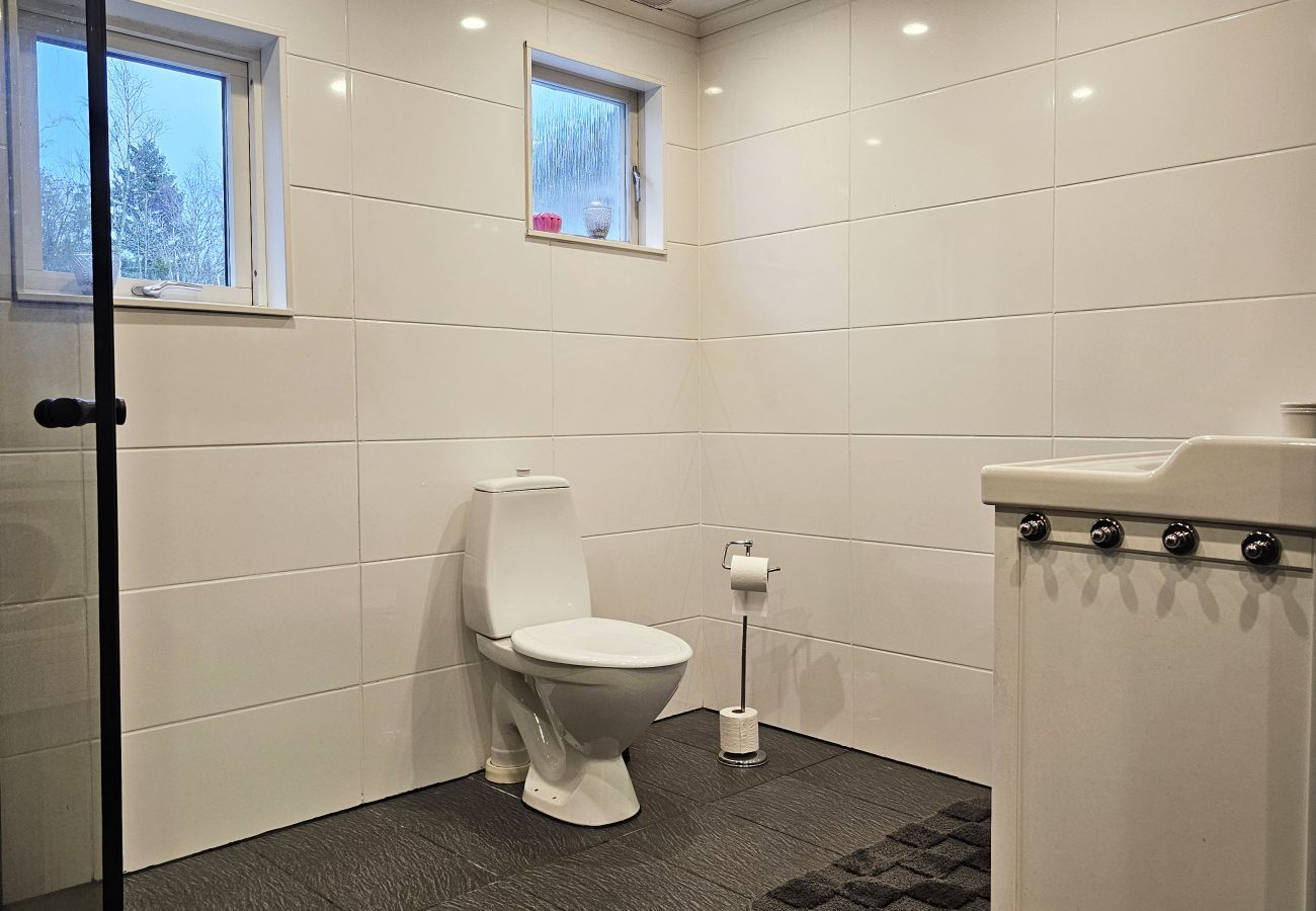 House in Svanesund - SE09173