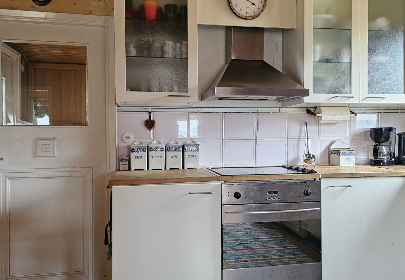 Cottage in Svanesund - SE09183