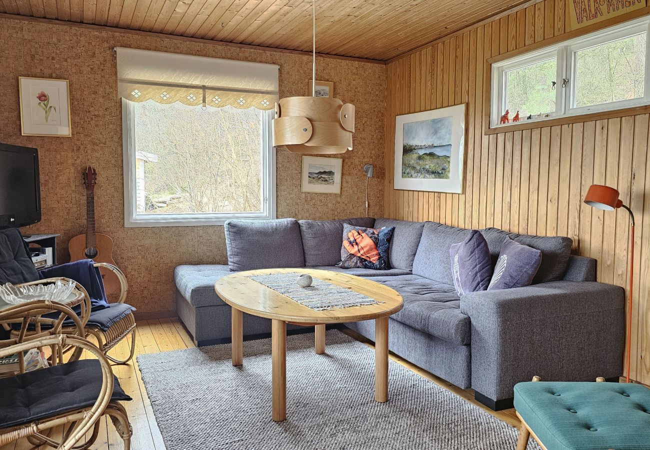 Cottage in Svanesund - SE09183