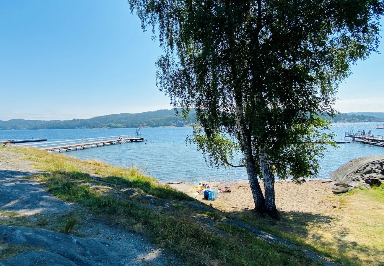 Cottage in Svanesund - SE09183