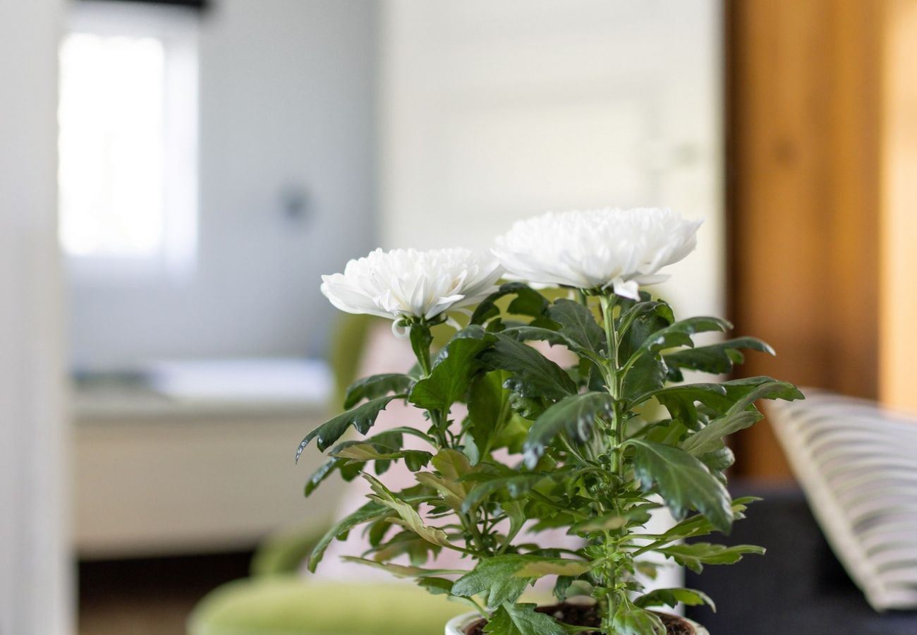 Stuga i Julita - SE14002