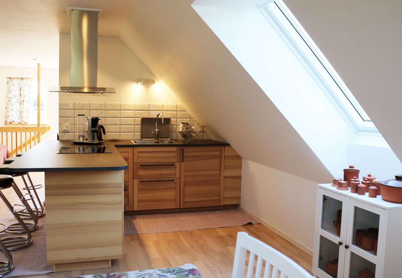 Studio i Abbekås - SE01024