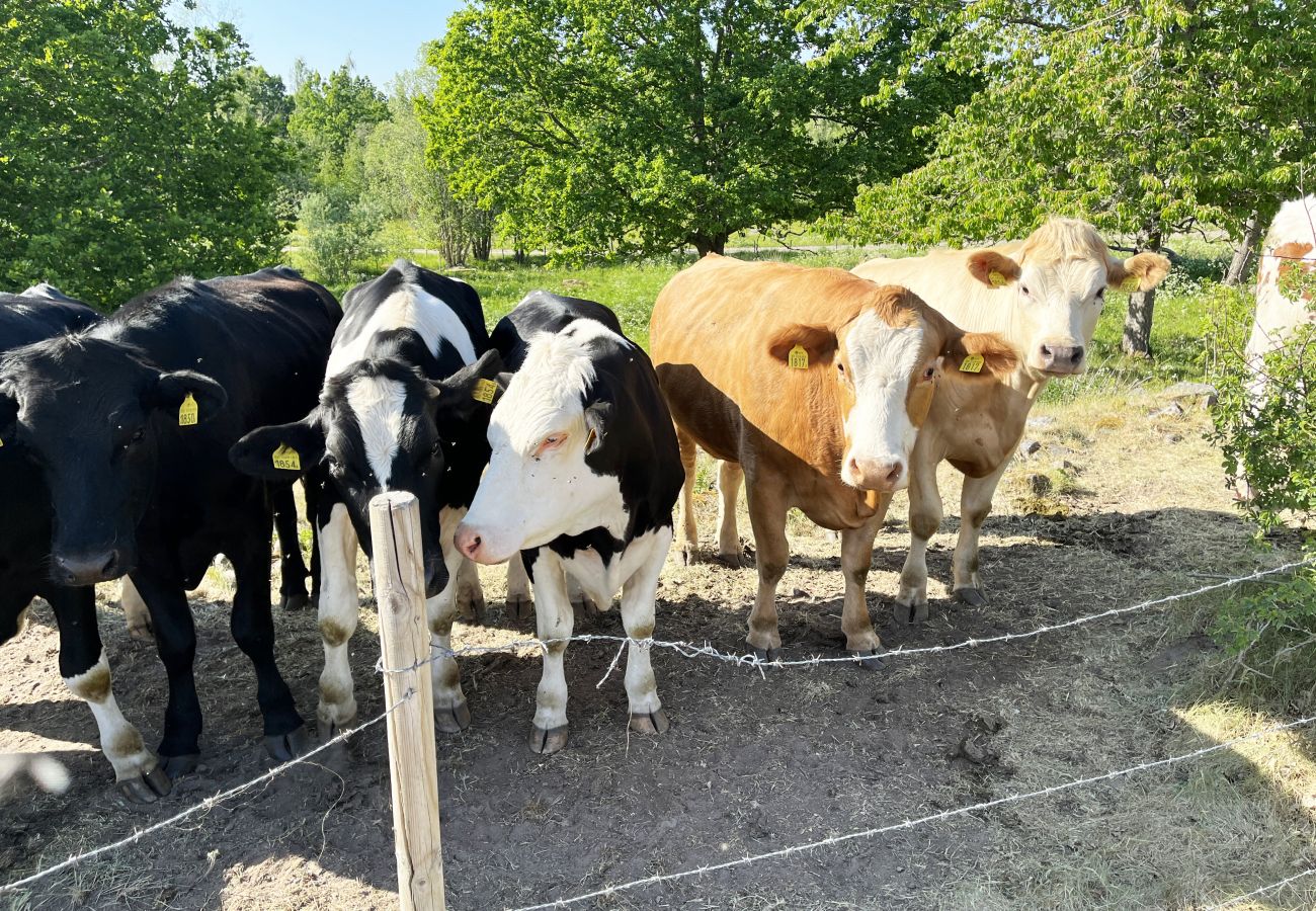 Stuga i Virserum - SE05034