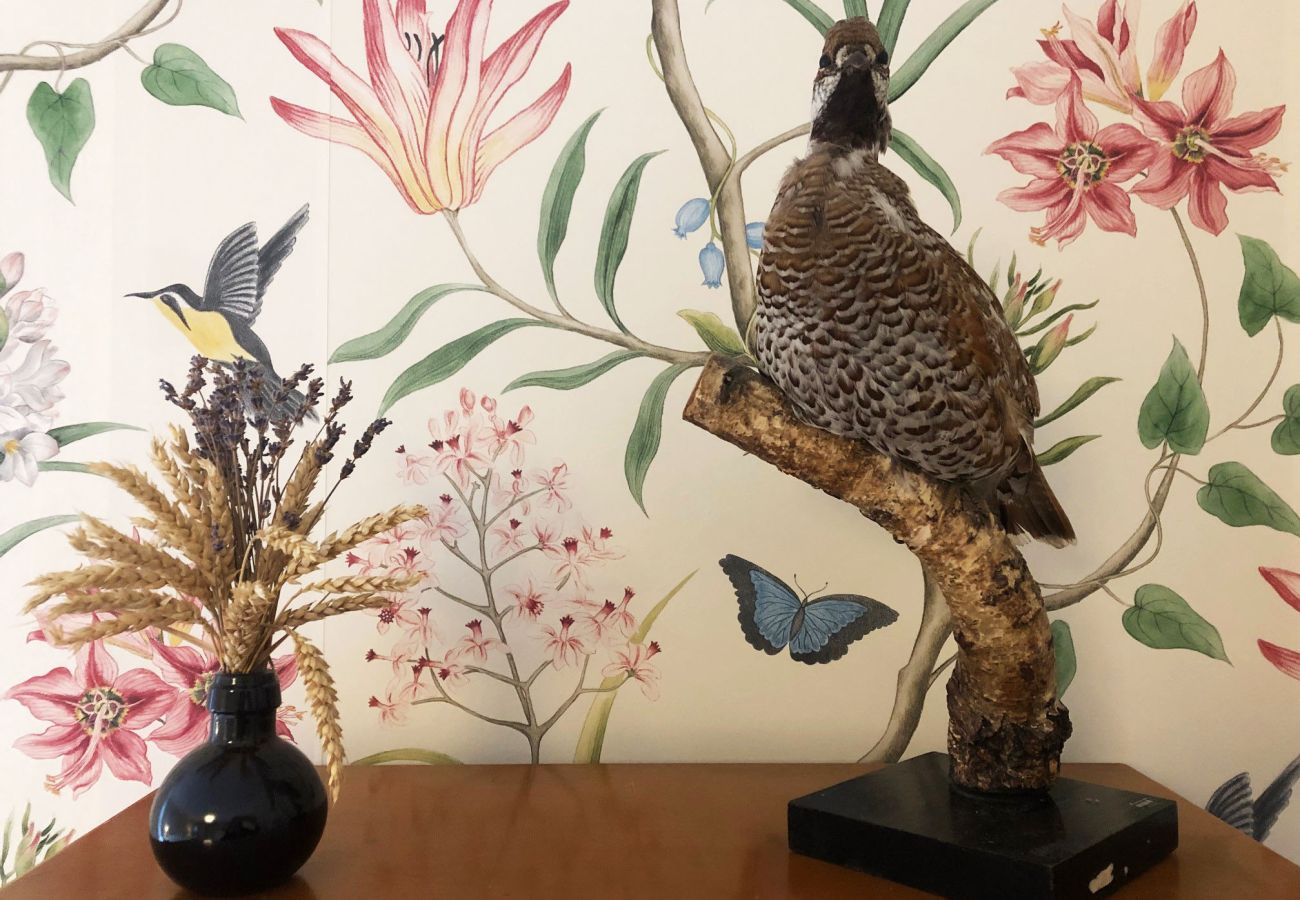 Stuga i Mölnbo - SE13025