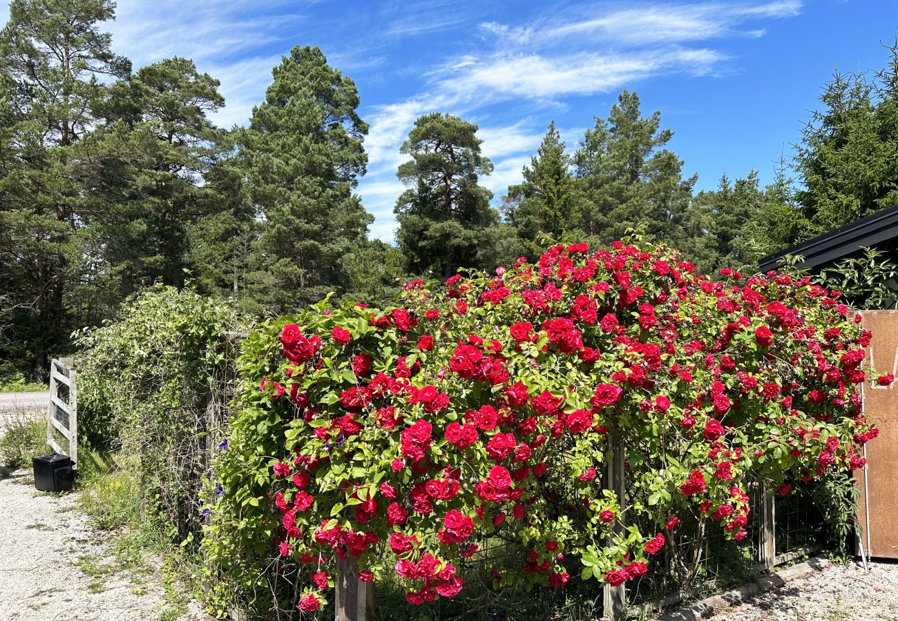 Stuga i Lärbro - SE12022