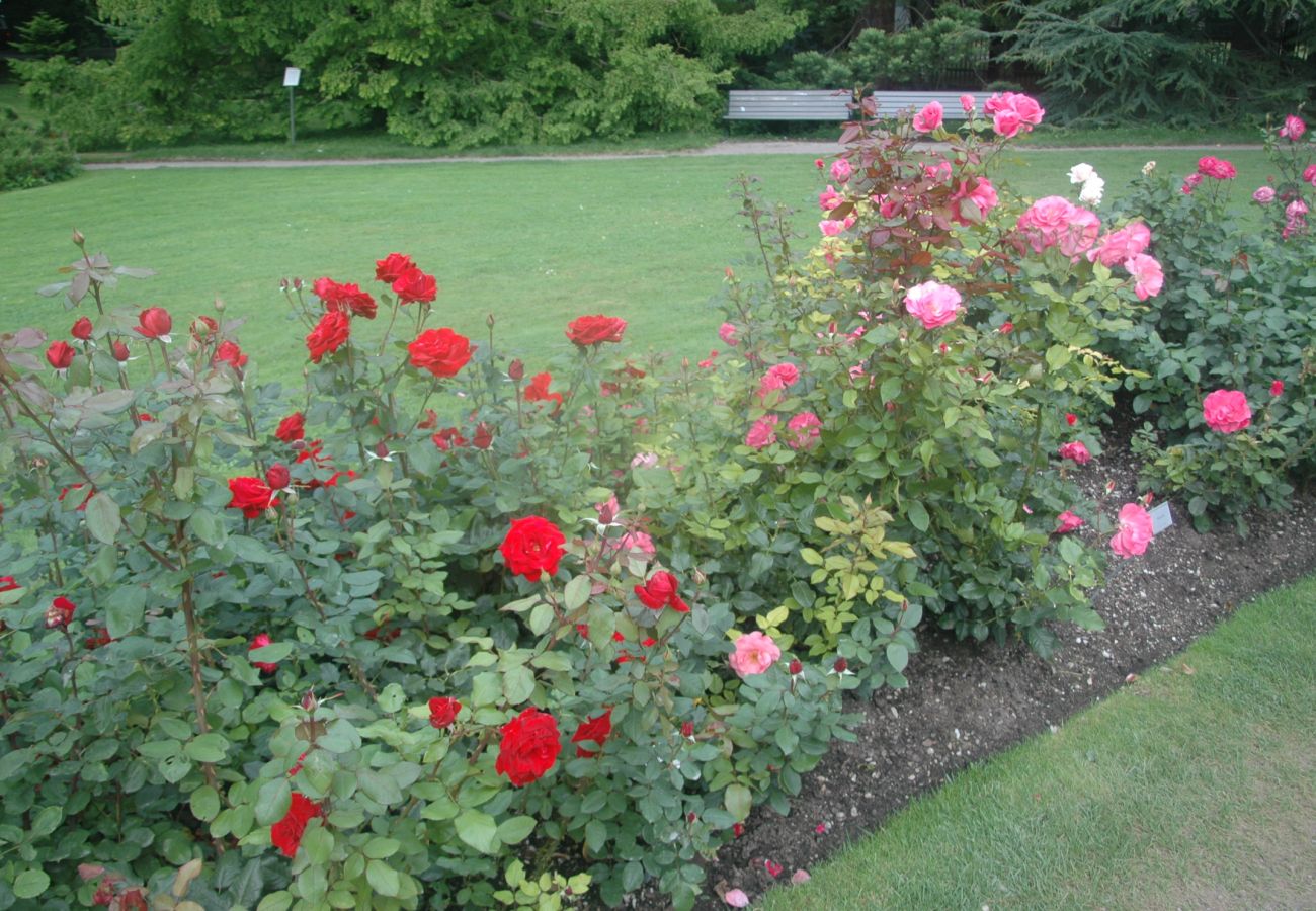 Stuga i Visby - SE12024