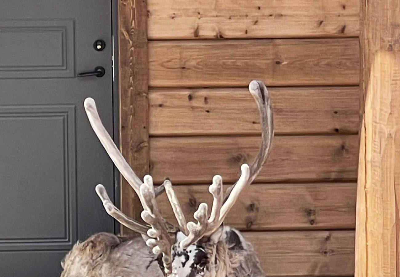 Stuga i Idre - SE19021