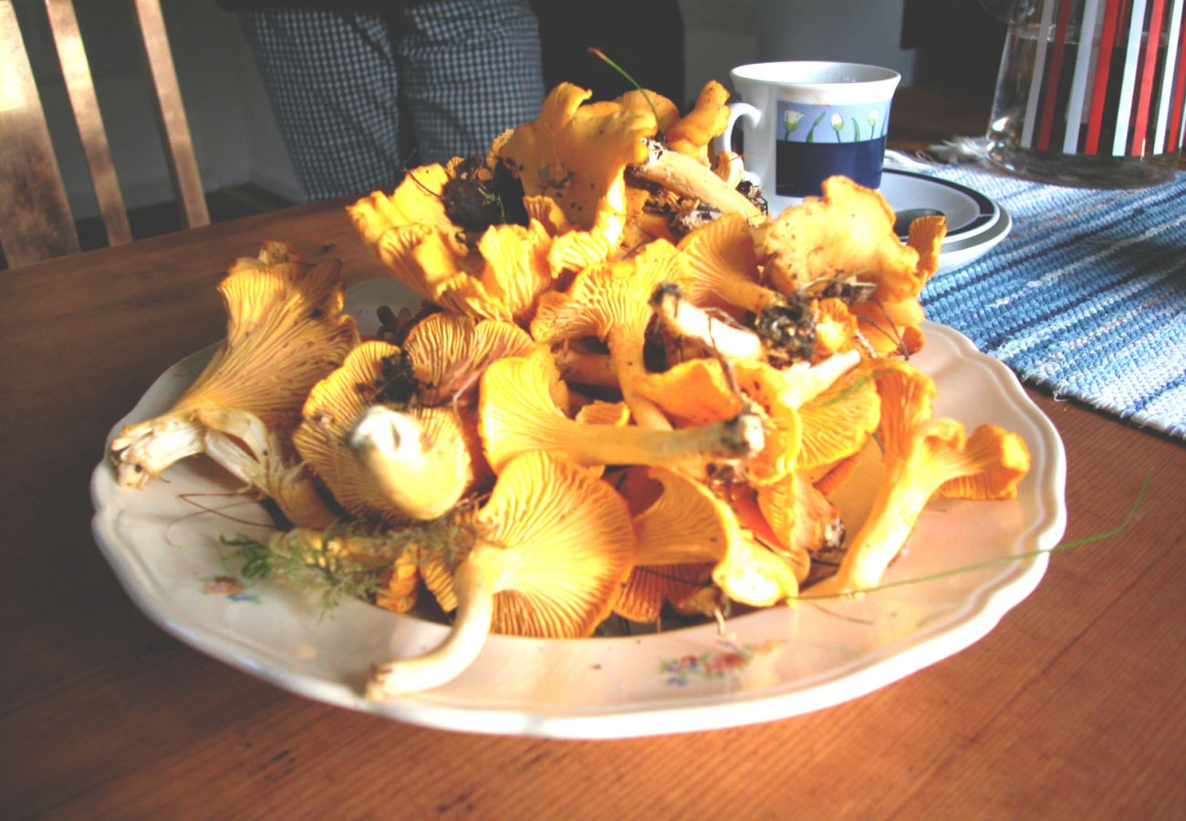 Stuga i Varekil - SE09063