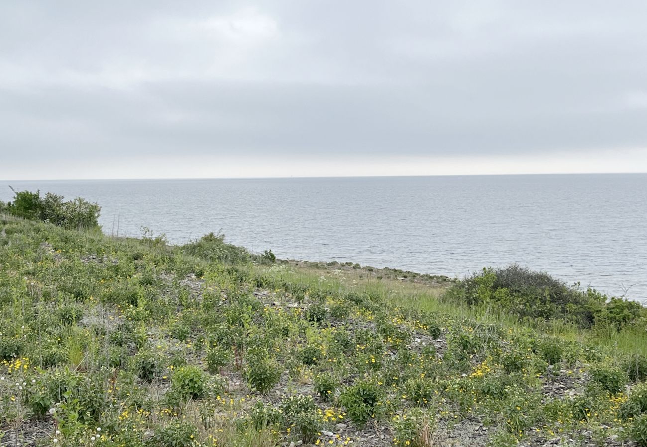 Stuga i Byxelkrok - SE04051