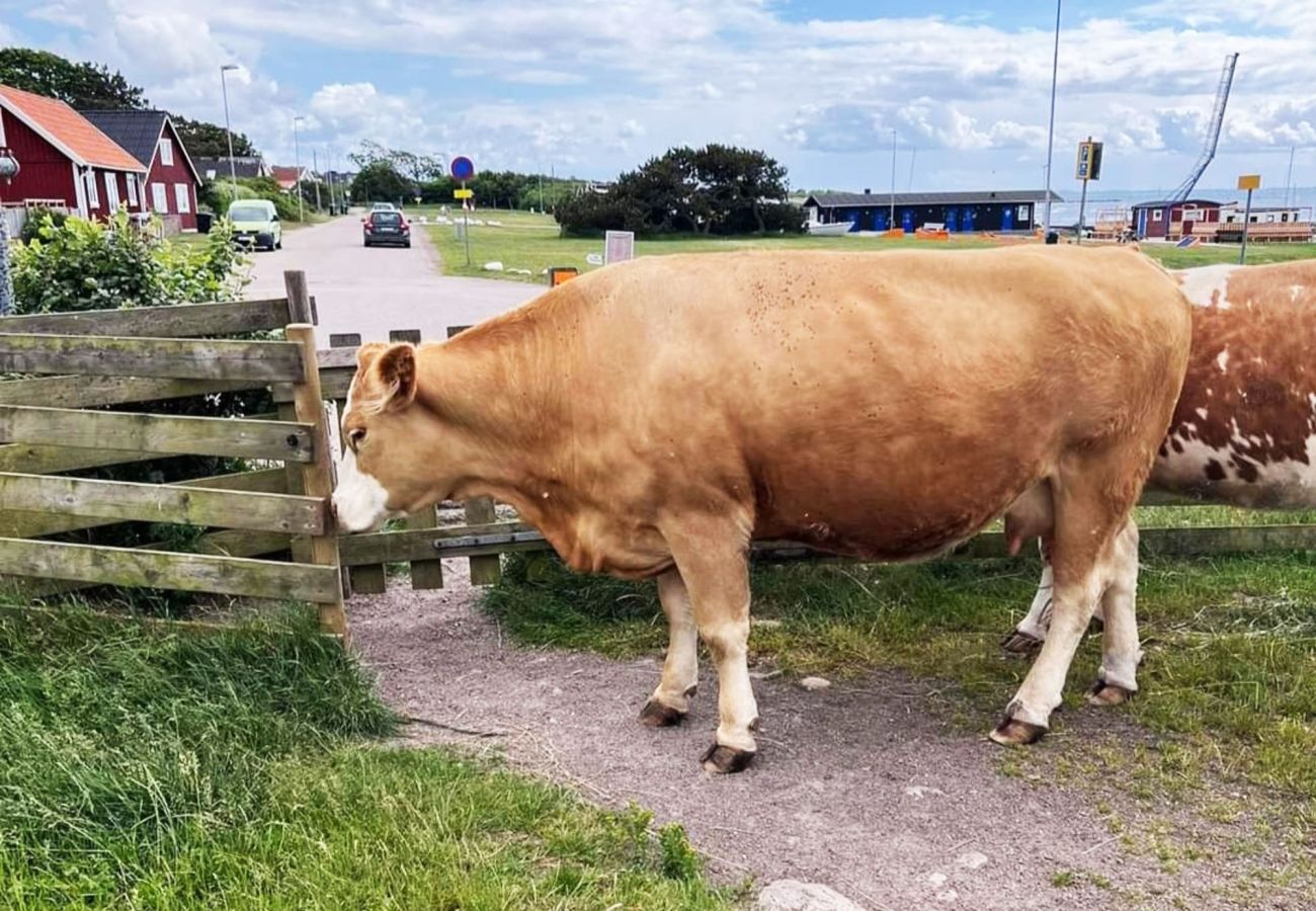 Stuga i Vejbystrand - SE01066