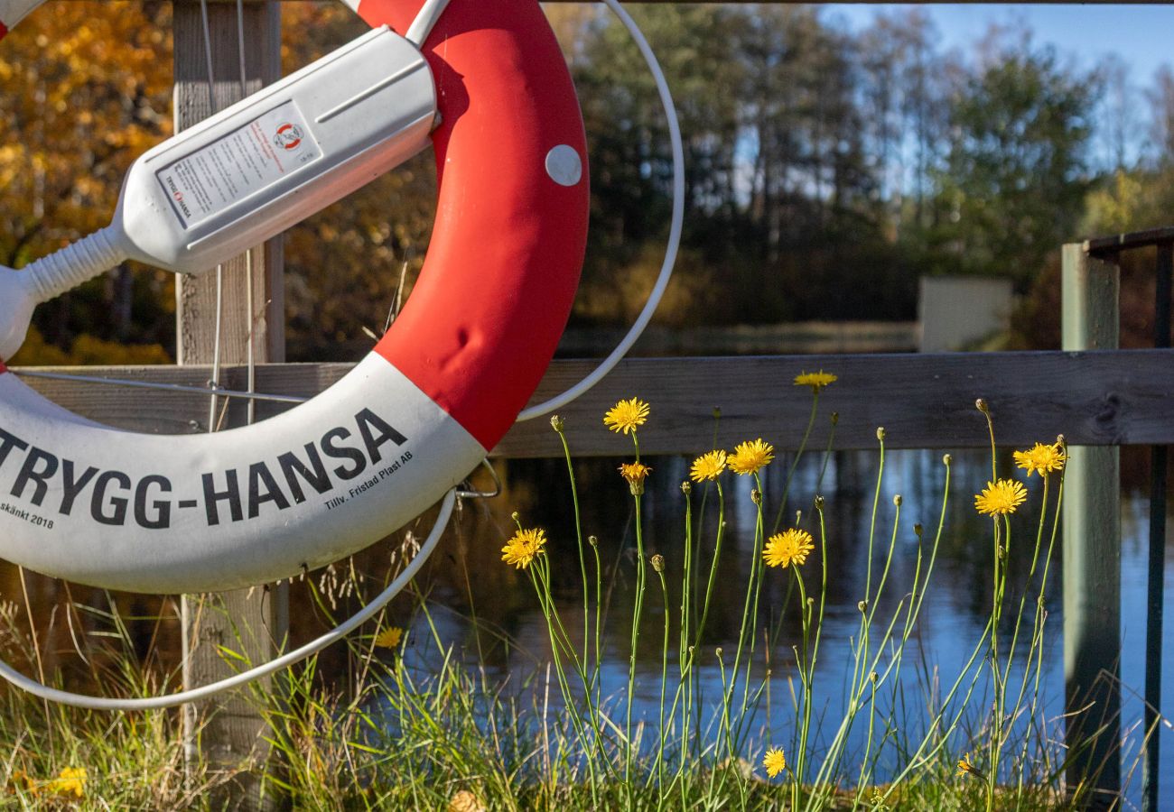 Stuga i Marieholmsbruk - SE06078