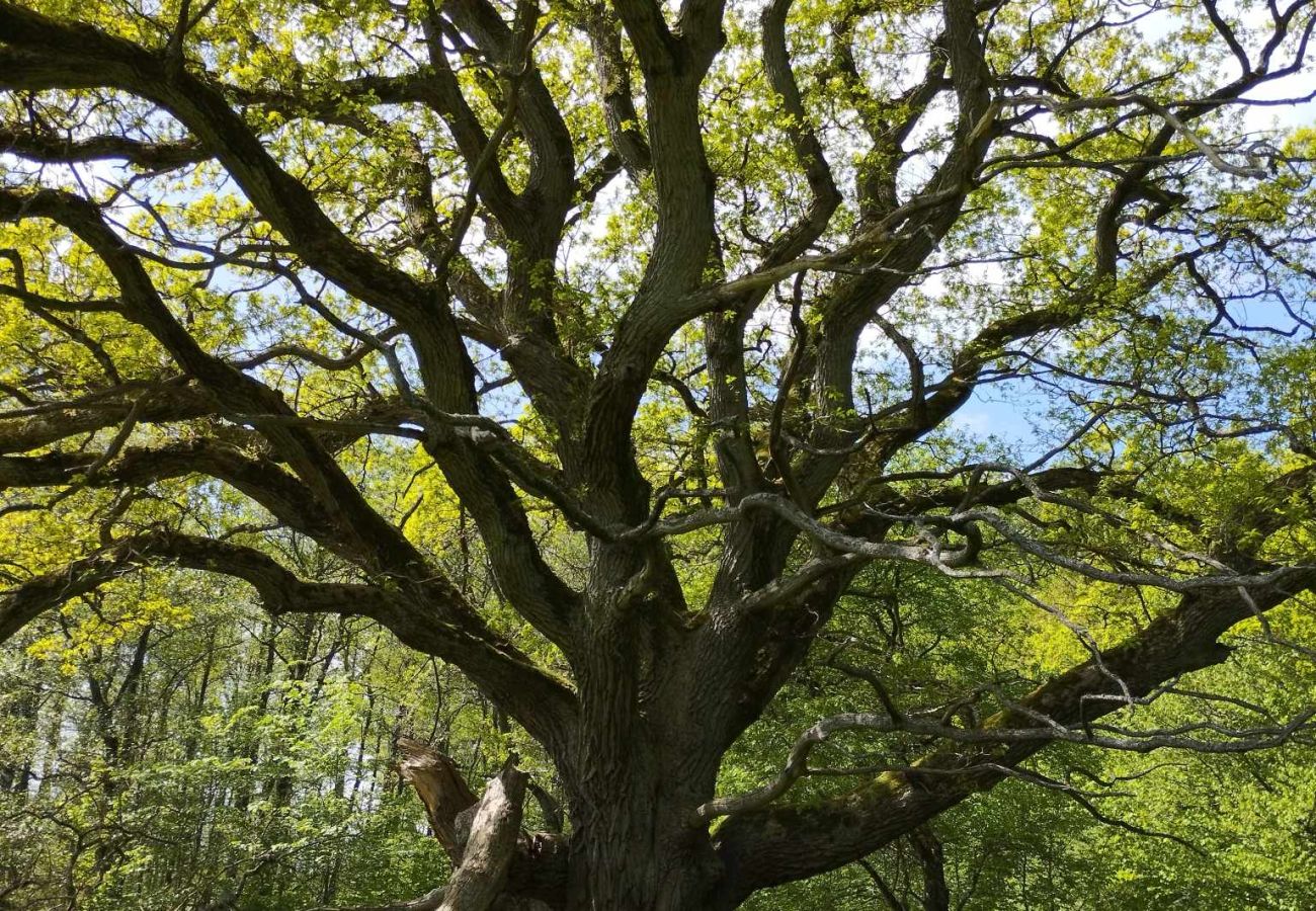 Stuga i Billesholm - SE01077