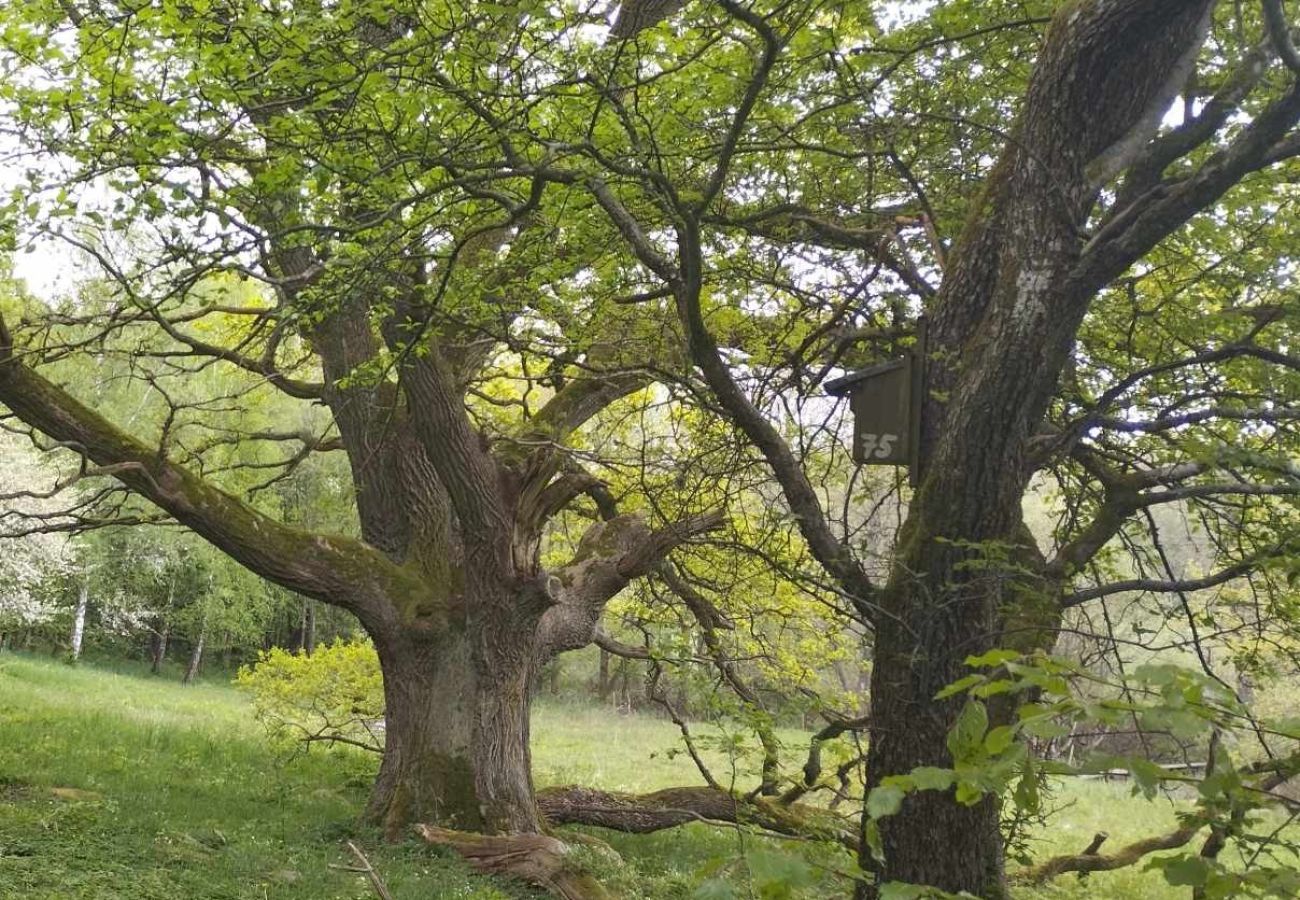 Stuga i Billesholm - SE01077