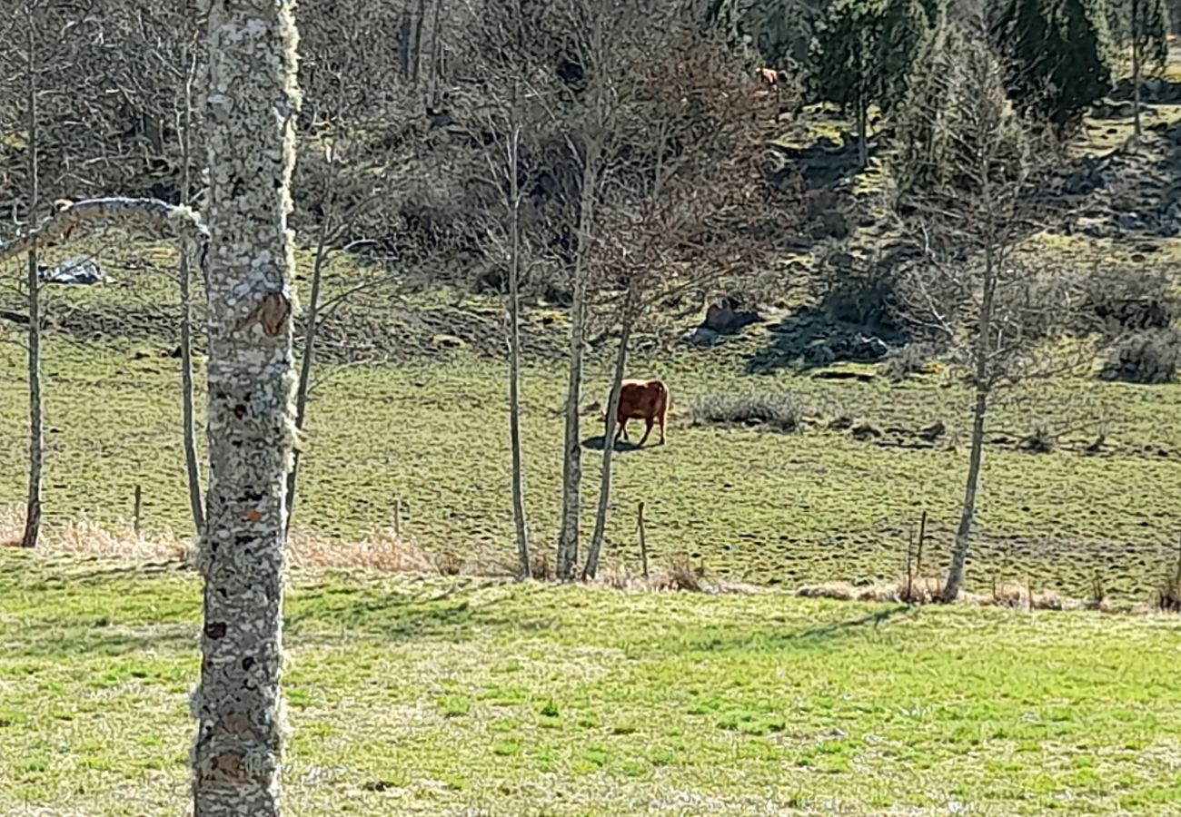 Stuga i Mönsterås - SE05055