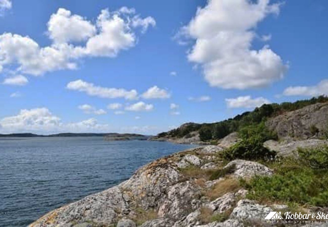 Stuga i Fagerfjäll - SE09118