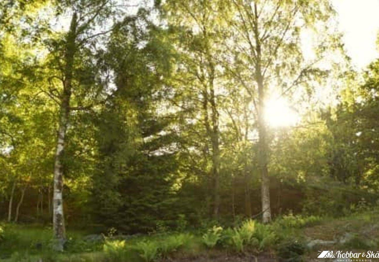 Stuga i Fagerfjäll - SE09118