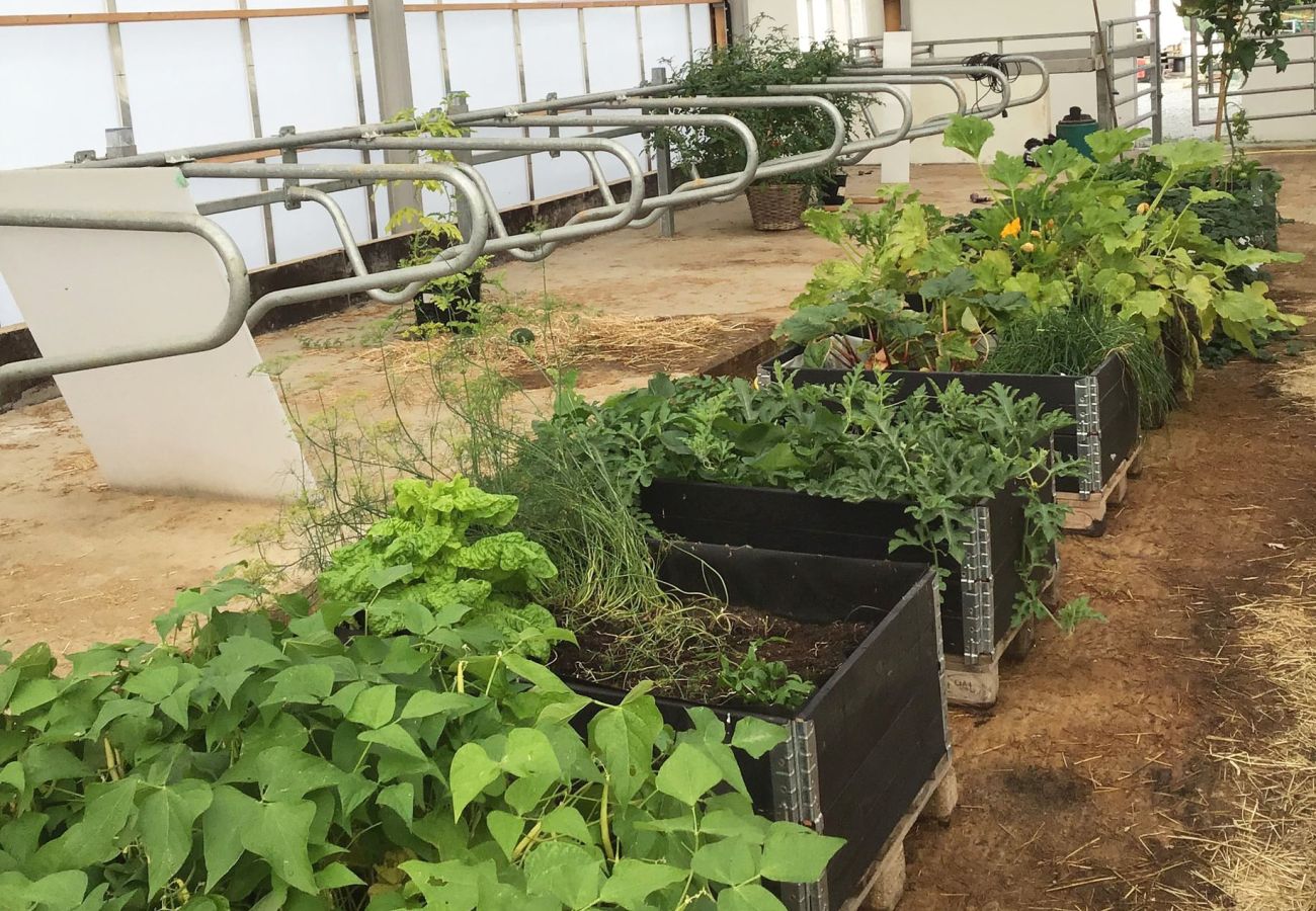 Stuga i Henån - SE09122