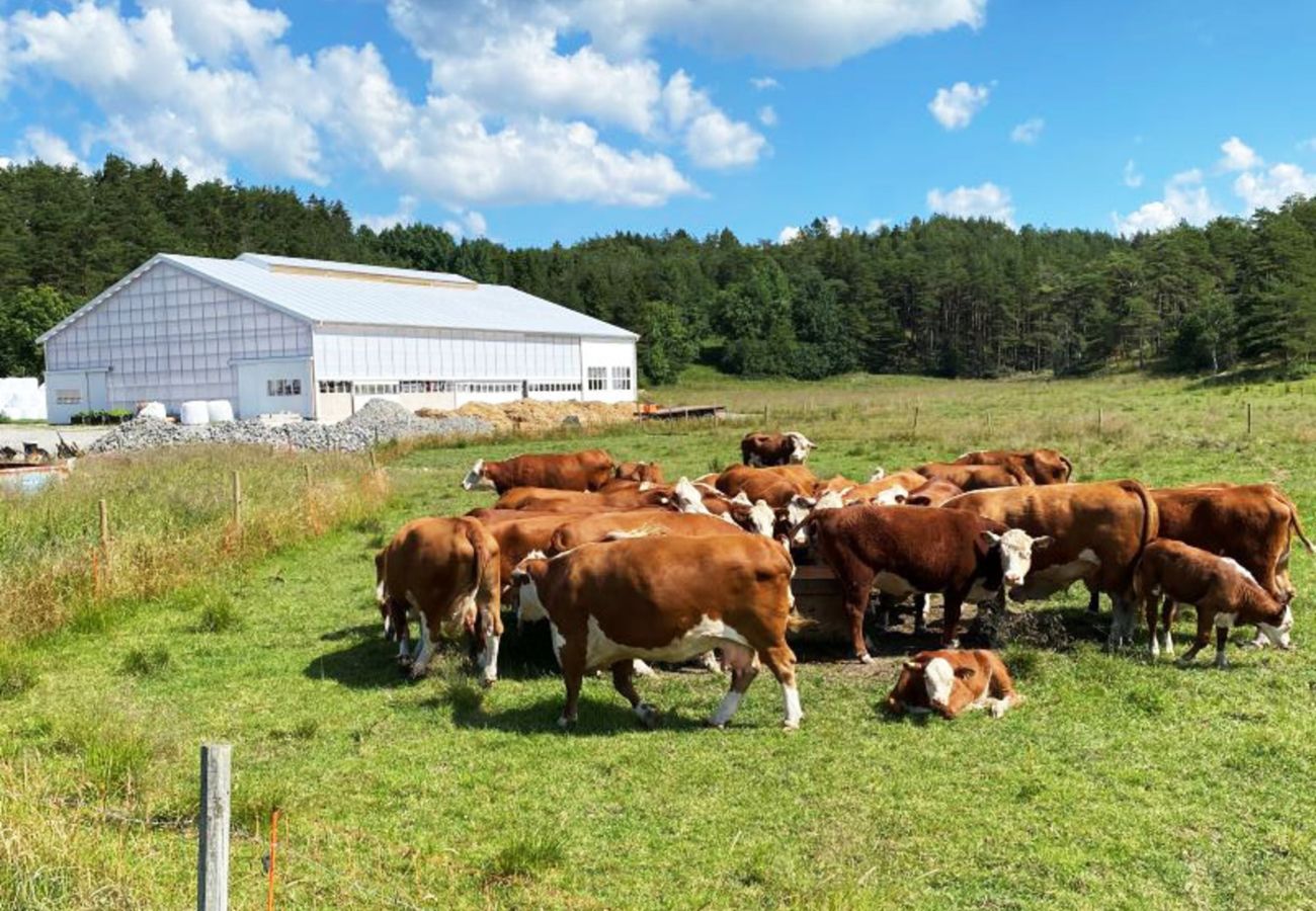 Stuga i Henån - SE09122