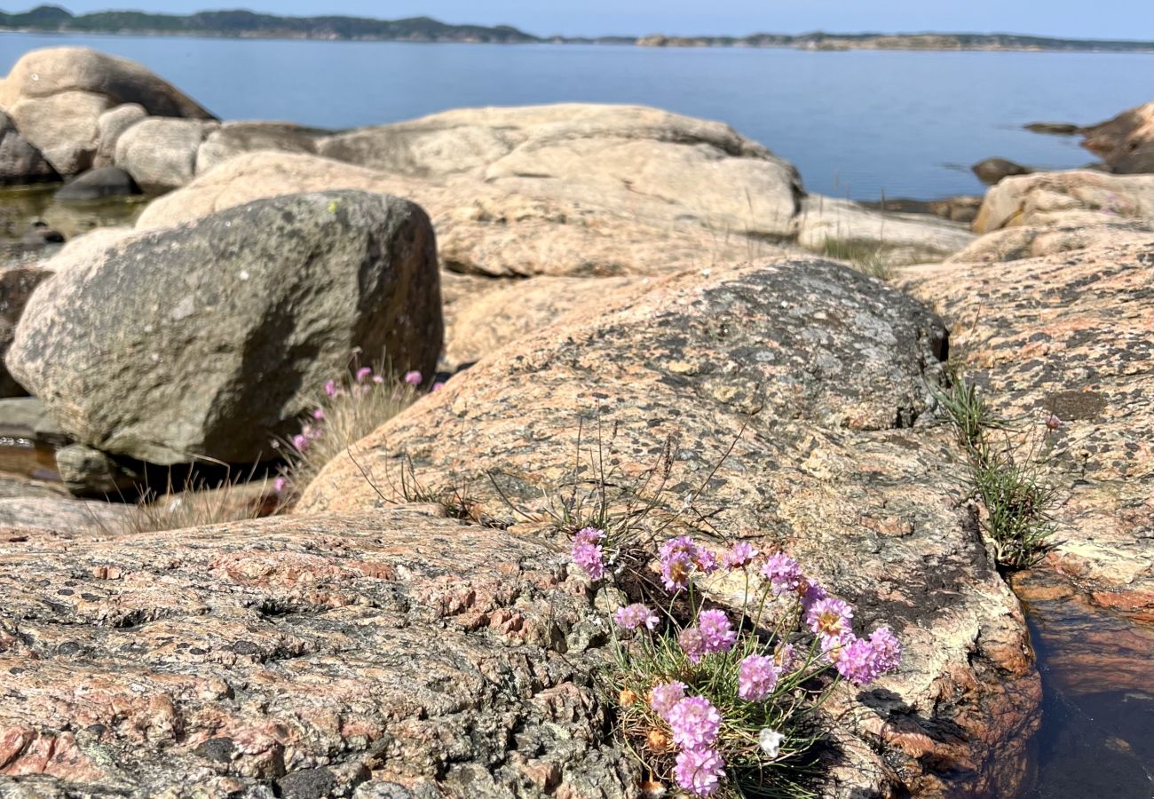 Stuga i Hjälteby - SE09124