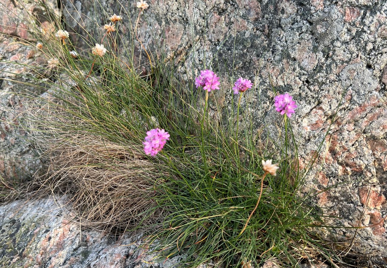 Stuga i Hjälteby - SE09124