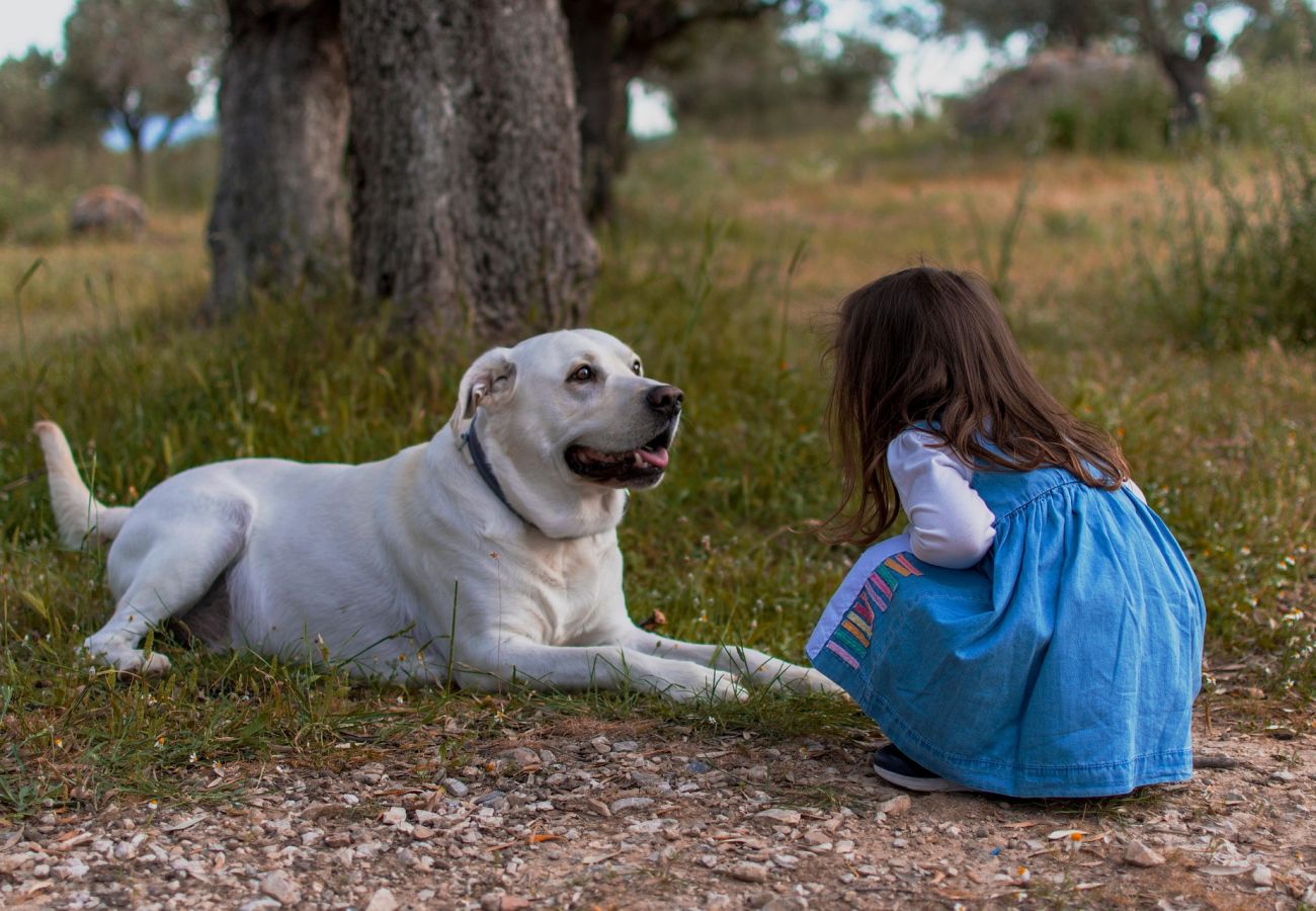 Stuga i Varekil - SE09114