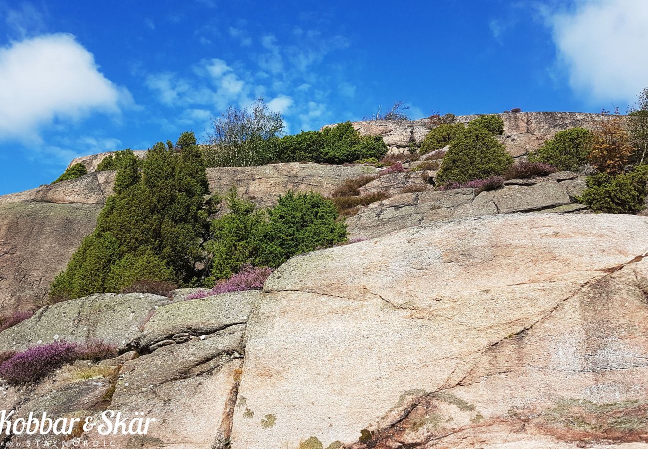 Stuga i Hjälteby - SE09134