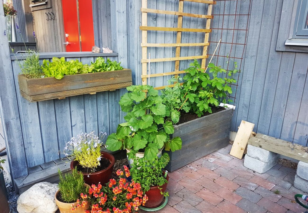 Stuga i Svanesund - SE09137