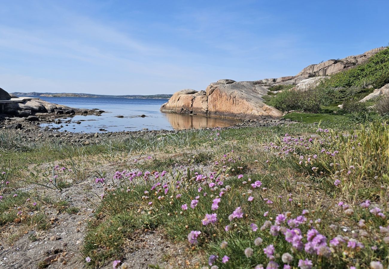 Stuga i Varekil - SE09115