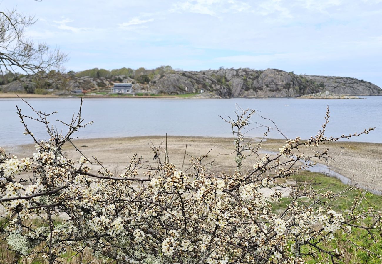 Stuga i Ellös - SE09113