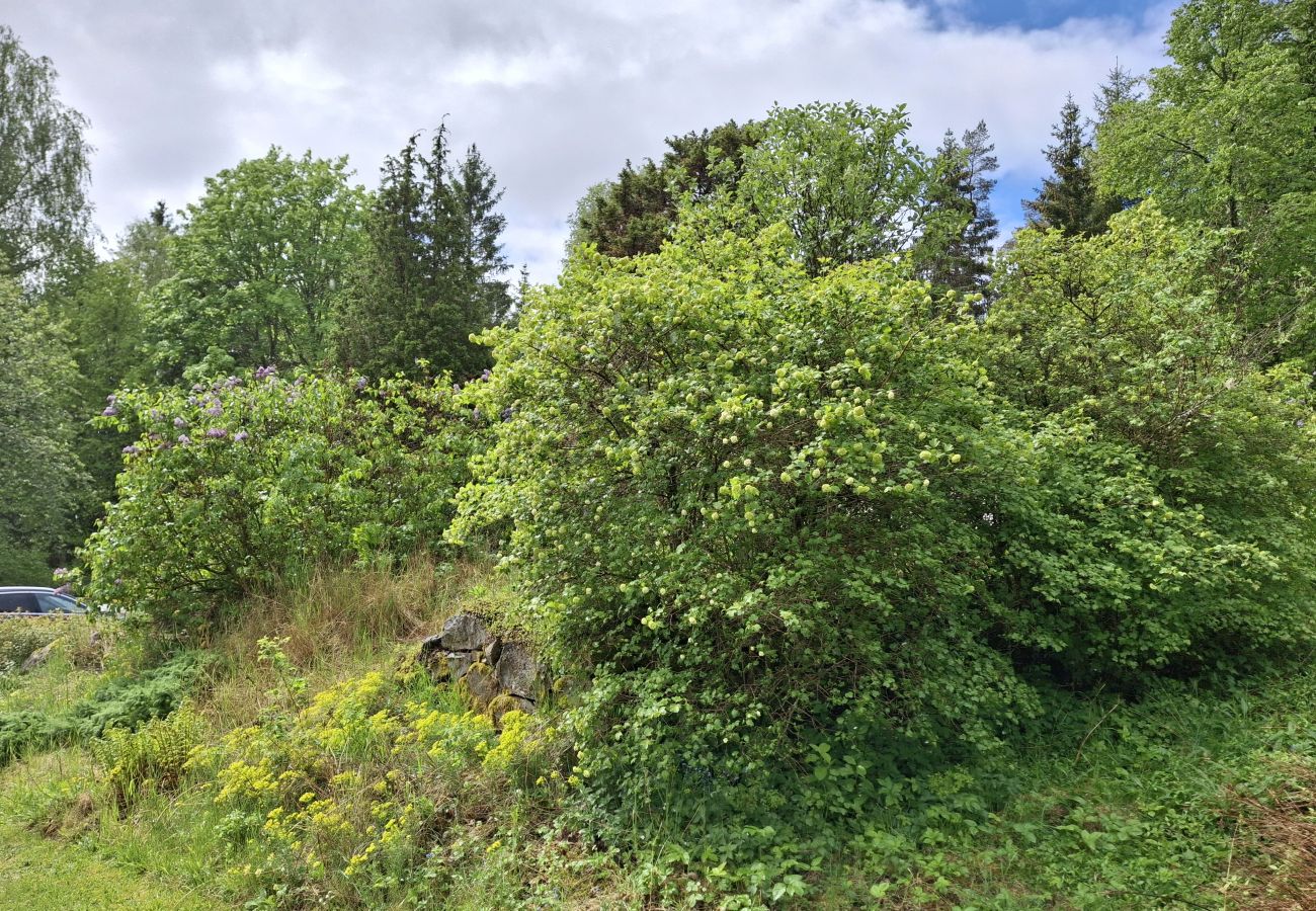 Stuga i Lönsboda - SE01078