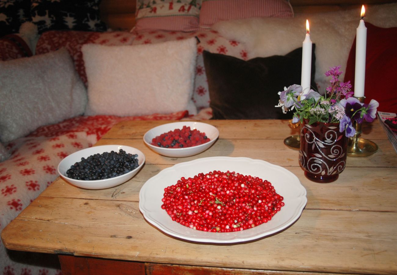 Stuga i Skillingsfors - SE18032