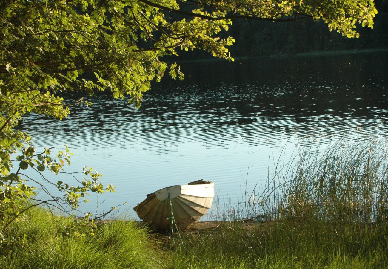 Stuga i Skillingsfors - SE18032