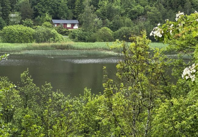 Stuga i Hällevadsholm - SE09081