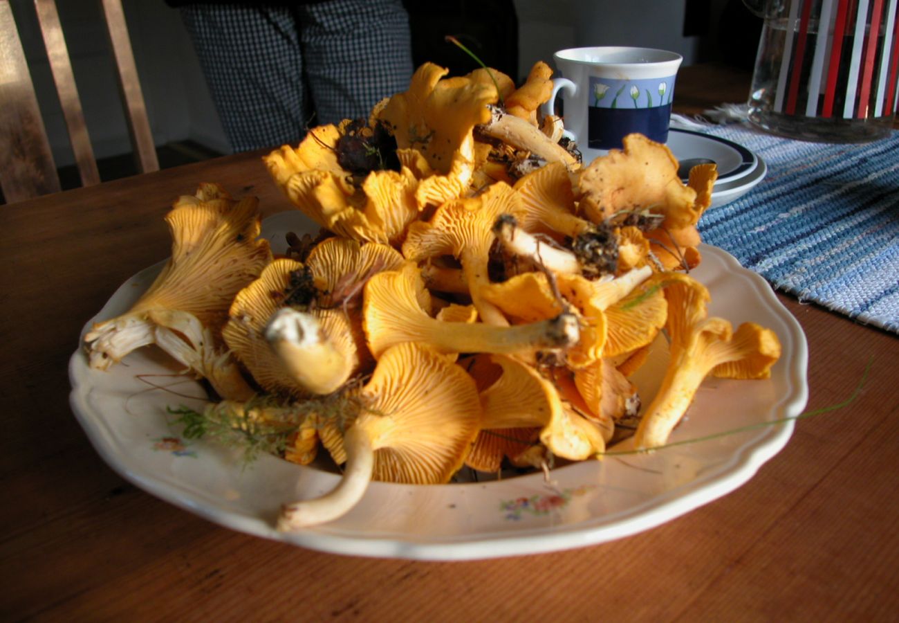 Stuga i Hällevadsholm - SE09081