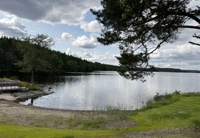 Stuga i Skillingsfors - SE18033